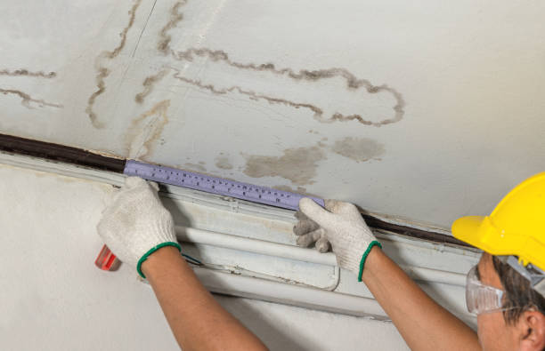 Reliable Water Damage contractor in Leonard, MI by Water Damage Irwin